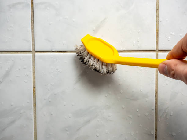 Best Residential Mold Removal  in Sa Loma, CA
