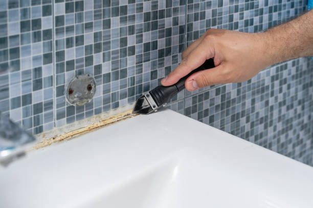 Best Mold Cleaning Services  in Sa Loma, CA
