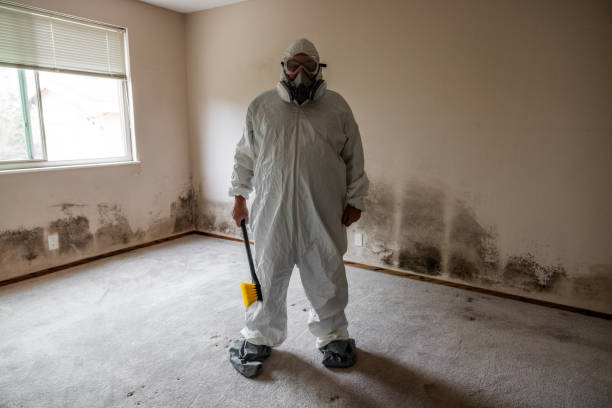 Best Attic Mold Removal  in Sa Loma, CA