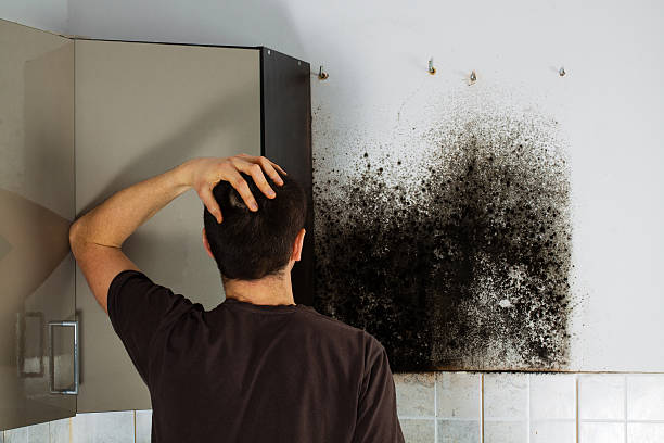 Best Crawl Space Mold Removal  in Sa Loma, CA